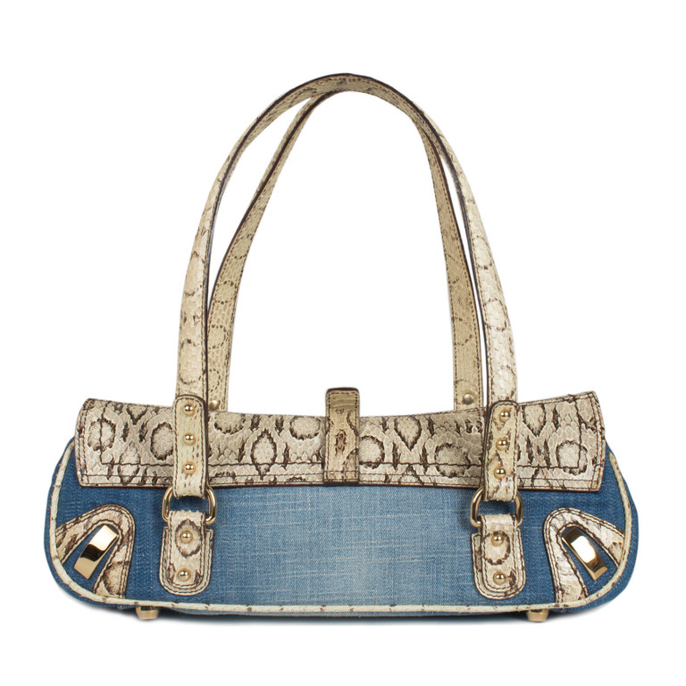 dolce and gabbana python bag