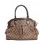 Louis Vuitton Damier Ebene Canvas Trevi PM Bag (03)
