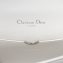 Christian Dior Mini Floral and Stripes Printed Diorama Bag (06)