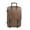 Louis Vuitton Damier Ebene Canvas Pegase 55 Suitcase (02)