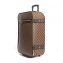 Louis Vuitton Damier Ebene Canvas Pegase 55 Suitcase (04)