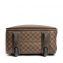 Louis Vuitton Damier Ebene Canvas Pegase 55 Suitcase (05)
